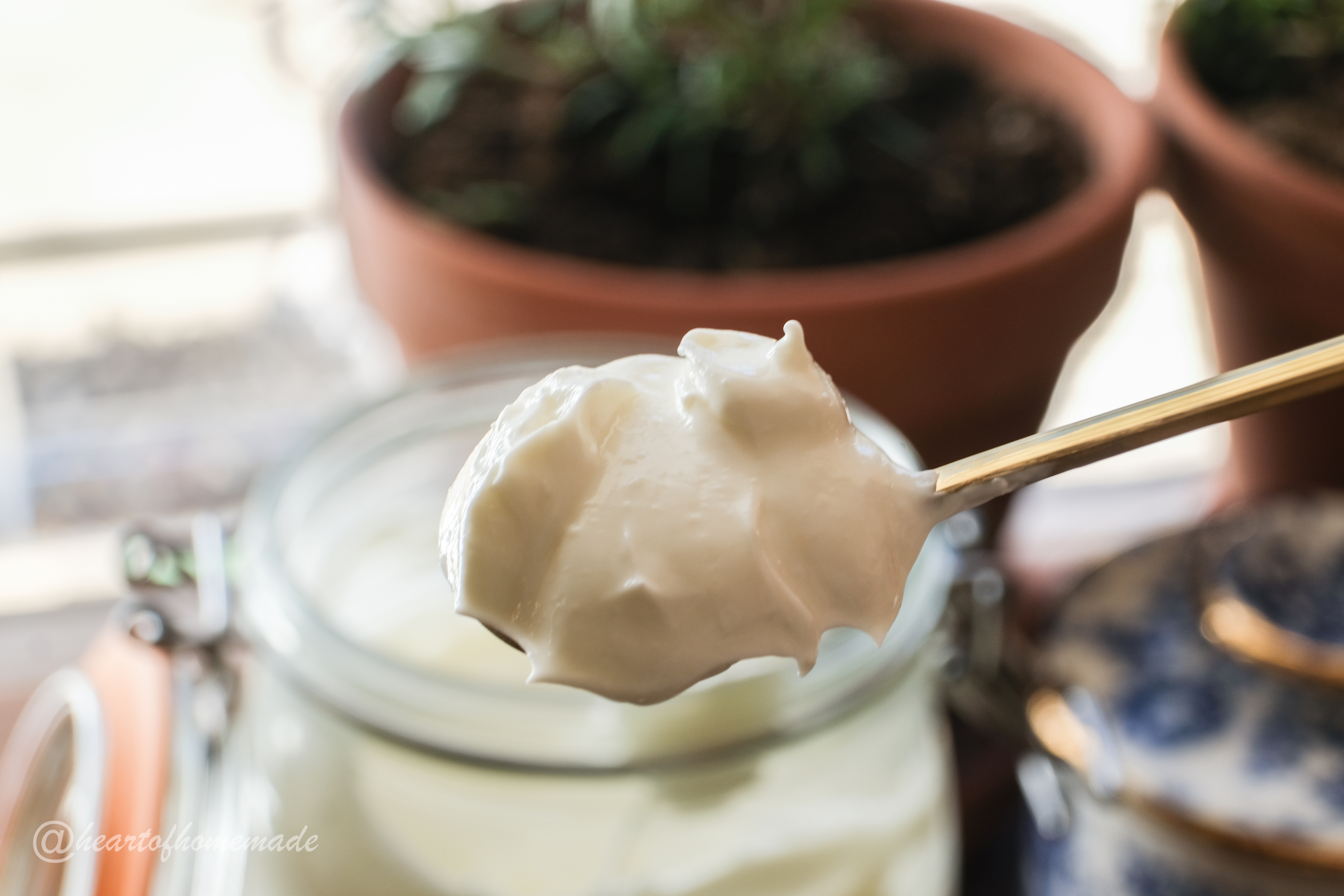 Greek Yogurt (Instant Pot)